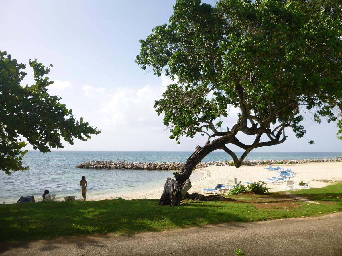Point Village Studio Negril Buitenkant foto